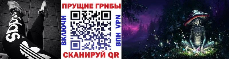 Купить  Славянск-на-Кубани  Псилоцибиновые грибы Psilocybe 